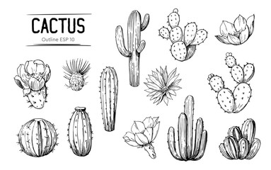 Set of cacti with flowers. Hand drawn illustration converted to vector - obrazy, fototapety, plakaty