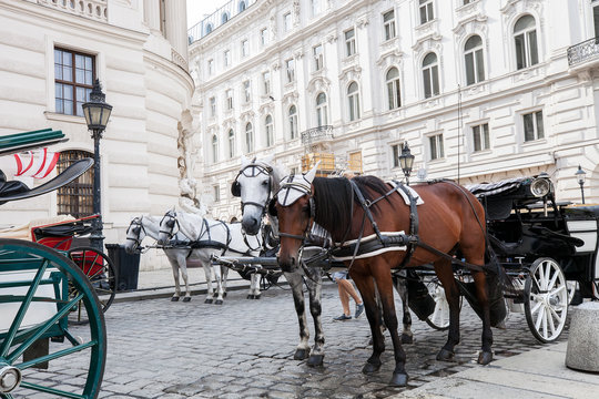 Old horsedrawn carriage riding on street in Vienna, Austria