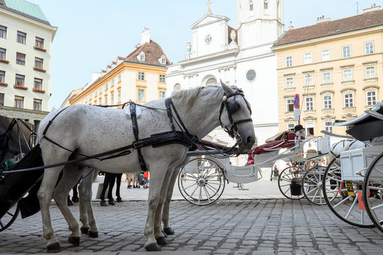 Old horsedrawn carriage riding on city street in Vienna, Austria