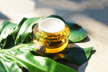 Snail and a jar of skin cream on green monstera leaf on concrete background. Snail slime. Top view,...