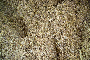 Taking photographs of wood plywood, used for making pellets