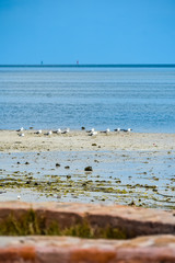 beach and sea