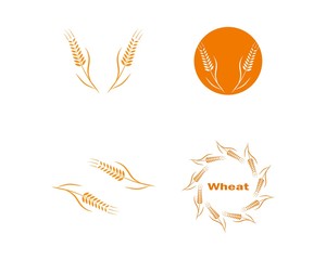 Agriculture wheat Logo Template vector icon design 