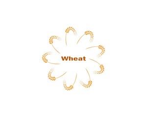 Agriculture wheat Logo Template vector icon design 