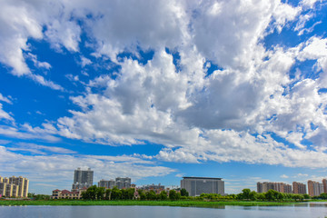 Urban park landscape