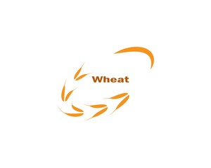 Agriculture wheat Logo Template vector icon design 
