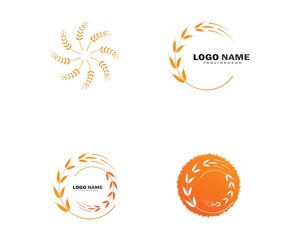 Agriculture wheat Logo Template vector icon design 