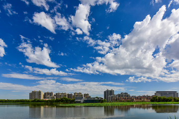 Urban park landscape