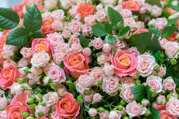 Beautiful fresh red and pink roses. beautiful bouquet of roses