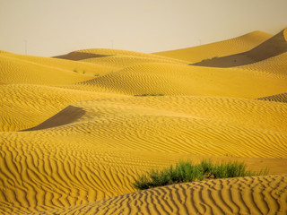 Fototapeta na wymiar Dubai Desert Landscape