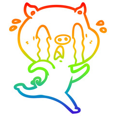 rainbow gradient line drawing crying pig cartoon