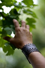 Main tendue vers des plantes dans la nature