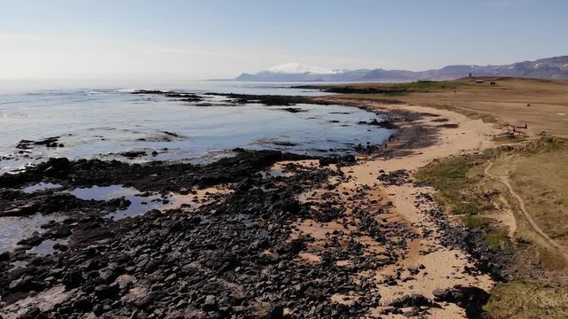 Iceland drone footage on the Ytri Tunga seal beach near the ocean in beautiful sunny spring weather