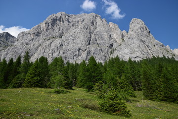 Fototapeta na wymiar Alpi Carniche - Sappada, monte Peralba