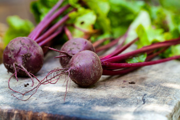 Fresh beetroot on the wooden background
