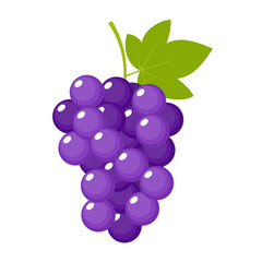 Grapes on a white background isolated