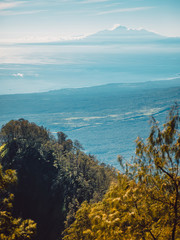 Aerial view of Rinjani volcano with forest in Bali