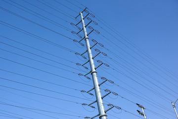 High voltage line and rod, electric power facility