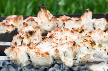 meat on grill