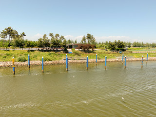 the river green tree and the sky background