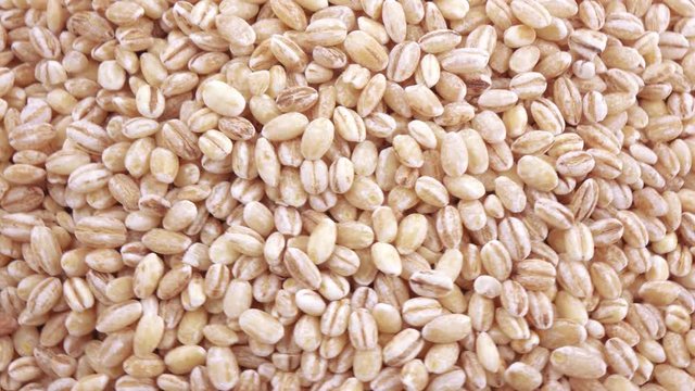 Pearl barley with pests