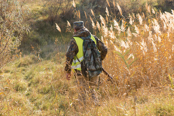 Hunter with a german drathaar and spaniel, pigeon hunting with dogs in reflective vests	