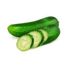 Realistic fresh cucumber and cucumber slices white background, vector illustration.