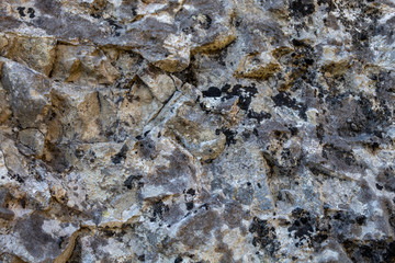 Grayish Old Weathered Natural Stone Texture