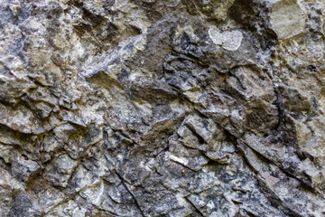 Grayish Old Weathered Natural Stone Texture