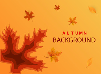 Naklejka na ściany i meble Abstract autumn paper cut template.Modern banner with 3D abstract background and paper cut shapes of leaves .Trendy layout for business presentations, cards, flyers, posters. vector eps10