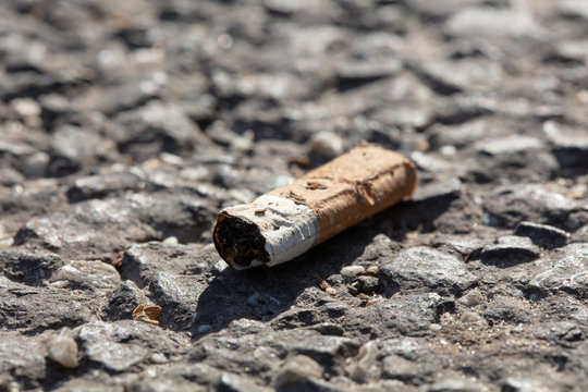 Cigar on streer