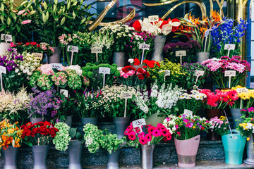 Fototapeta na wymiar The price of different flowers in Europe