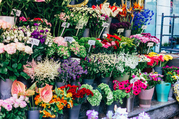 Fototapeta na wymiar The price of flowers in Europe