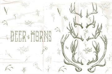 Vector illustration. Hand drawing on a graphic tablet. Set of deer horns.