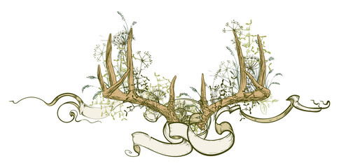Fototapety  Vector illustration. Hand drawing on a graphic tablet.Antlers and herbs entwined ribbon.