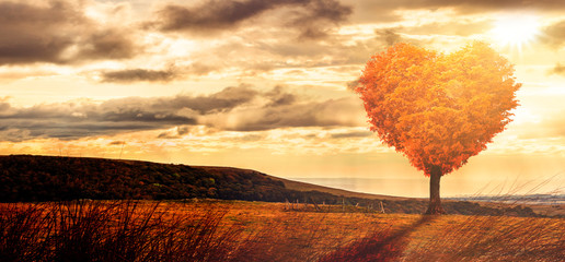 Fototapeta na wymiar Baum in Herform in einer surrealen Landschaft bei sonnenuntergagn