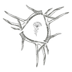 Vector illustration. Hand drawing on a graphic tablet. Frame made of deer antlers.