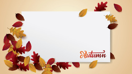 Autumn background blank layout decorate with leaves for greeting promo poster or web banner.Vector illustration template.
