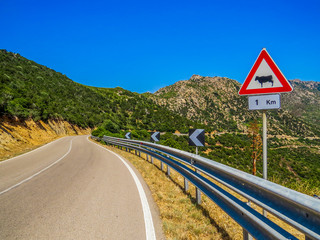 "Attention - cows" sign. In Sardinia, Italy