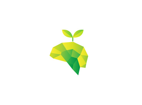 Poly Brain With Leaf For Bio Nature Logo Design Illustration