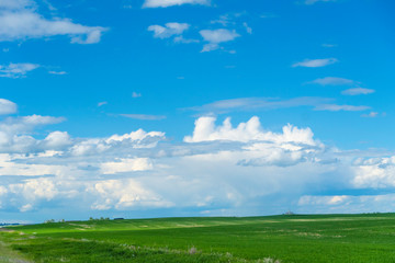 Summer outdoor fields in Alberta with clouds banks in the sky