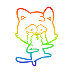 rainbow gradient line drawing cartoon cat