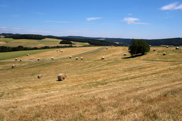 Fototapeta premium Eifellandschaft im Sommer und abgeerntete Felder mit Strohballen - Stockfoto