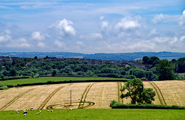 Views across Paignton 