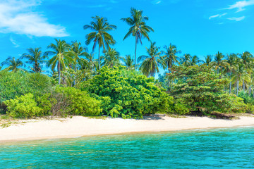 Beautiful beach at tropical island with palm trees, white sand and blue sea