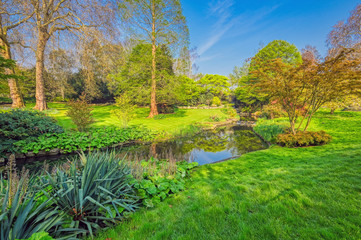 Fototapeta na wymiar Spring in Hyde Park located in Central London, UK.