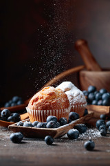 Muffins and blueberries sprinkled with powdered sugar.