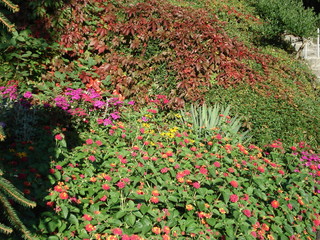 Queen Elizabeth Park - Vancouver 2009
