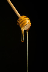 Honey Dripping