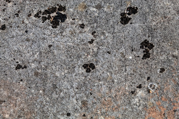 Grayish Old Weathered Natural Stone Texture